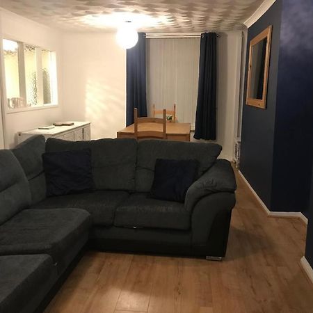Snowdonia Miners Cottage 布莱奈费斯蒂尼奥格 外观 照片